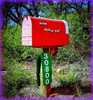 photo thumbnail #5