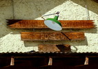 photo thumbnail #12