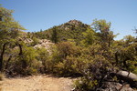 photo thumbnail #9