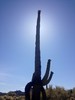photo thumbnail #7