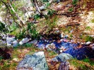 photo thumbnail #2