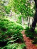photo thumbnail #15