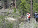 photo thumbnail #2