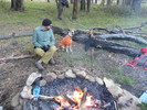 photo thumbnail #7