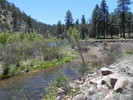 photo thumbnail #9