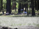 photo thumbnail #10