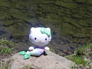 photo thumbnail #11