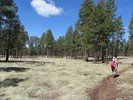 photo thumbnail #5