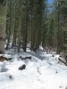 photo thumbnail #9