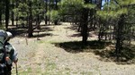 photo thumbnail #8