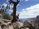 photo thumbnail #8