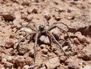 photo thumbnail #9