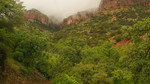 photo thumbnail #6
