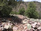 photo thumbnail #5