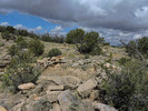 photo thumbnail #7