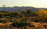 photo thumbnail #3