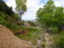 photo thumbnail #11