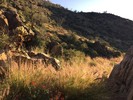photo thumbnail #6