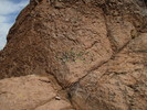 photo thumbnail #10