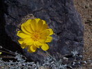 photo thumbnail #15