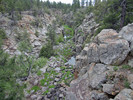 photo thumbnail #3