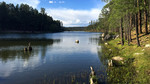 photo thumbnail #10