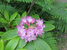 photo thumbnail #2