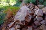 photo thumbnail #5
