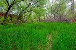 photo thumbnail #6