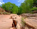 photo thumbnail #8