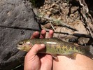 photo thumbnail #9