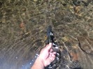 photo thumbnail #12
