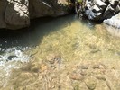 photo thumbnail #13