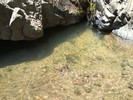 photo thumbnail #14