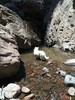 photo thumbnail #15
