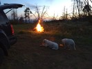 photo thumbnail #7