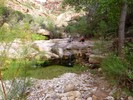photo thumbnail #10