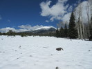 photo thumbnail #3
