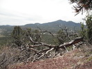 photo thumbnail #6