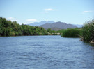 photo thumbnail #8
