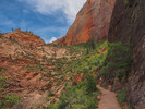 photo thumbnail #3