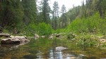 photo thumbnail #5