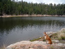 photo thumbnail #2