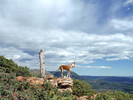 photo thumbnail #5