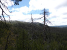 photo thumbnail #11