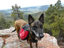 photo thumbnail #15