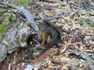 photo thumbnail #8