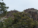 photo thumbnail #9