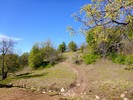 photo thumbnail #7