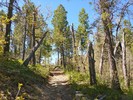 photo thumbnail #14